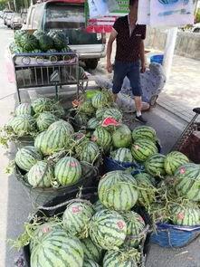 厦门世贸吃瓜事件