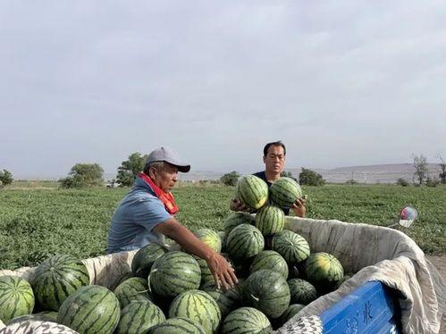 民庭大型吃瓜现场,一场全民围观的法律盛宴