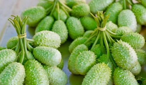 吃瓜爆料30,揭秘娱乐圈背后的惊人真相