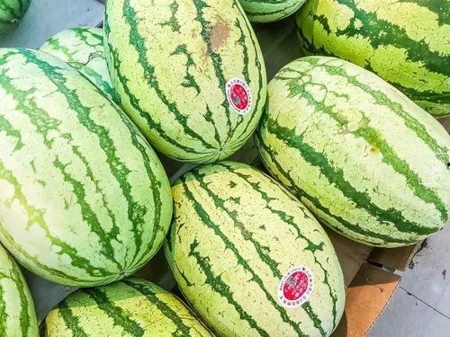 只说吃瓜,一场场“吃瓜”盛宴背后的真相