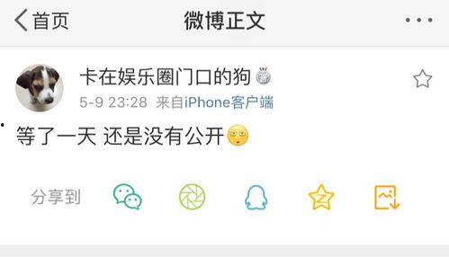 吃瓜视频确认围观