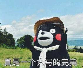 吃瓜你比我猜,你比我猜趣味横生