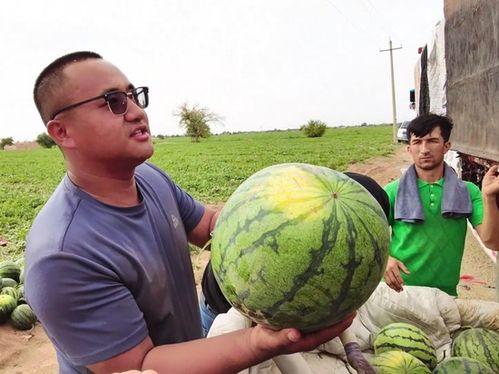 海盐吃瓜新闻,揭秘网络热点背后的真相与笑料