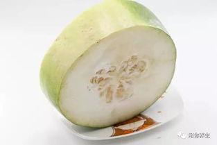 十多个月宝宝吃贝贝瓜,贝贝瓜营养美味记