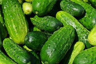 梦到自己买瓜吃,瓜果飘香，品味人生百味