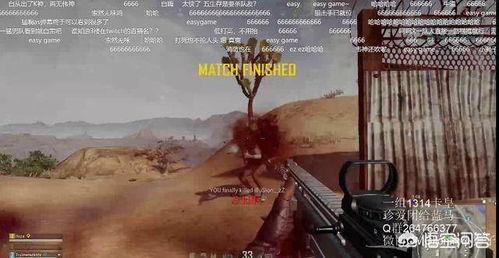 李逵直播吃瓜,一场美食与娱乐的盛宴