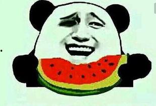 MR吃瓜群众,揭秘娱乐圈幕后真相