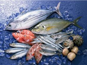 吃瓜鱼鱼全文,揭秘娱乐圈背后的故事与真相