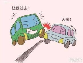 分享路人吃瓜日常,揭秘路人吃瓜日常，笑料百出！