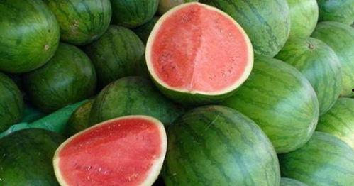 怎么当个吃瓜人呢,轻松成为吃瓜群众的实用指南