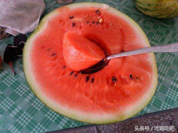 怎么当个吃瓜人呢,轻松成为吃瓜群众的实用指南