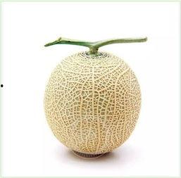 最初吃瓜,揭秘网络时代的“吃瓜文化”现象