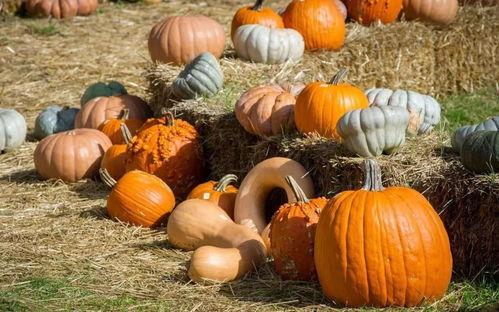 吃瓜甜甜,揭秘娱乐圈甜蜜背后的故事