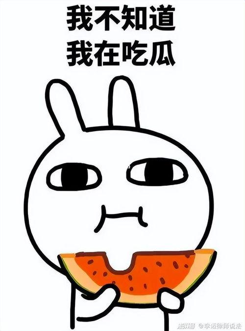 噗喵喵吃瓜,揭秘娱乐圈那些不为人知的幕后故事