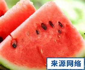 吃高瓜发胖吗,吃高瓜真的会发胖吗？