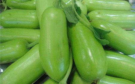 蒲瓜可以调着吃吗怎么吃,创意调食新体验