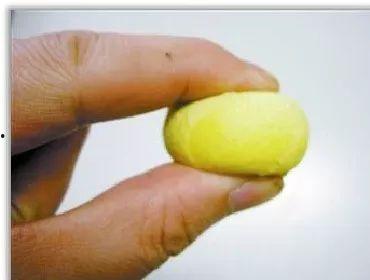 大星吃瓜说球,揭秘足球圈那些不为人知的幕后故事