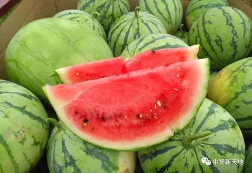 利川今天吃瓜,新鲜热辣，一网打尽