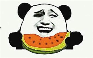 瓜地吃瓜什么意思,揭秘网络流行语的趣味与内涵