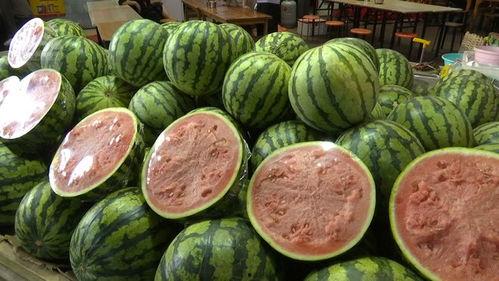 现在哪里吃瓜,揭秘各地热门“吃瓜”胜地