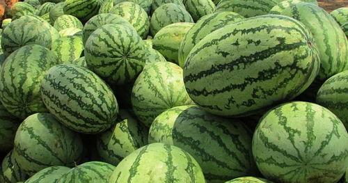 梦到自己吃土瓜,土瓜美食之旅