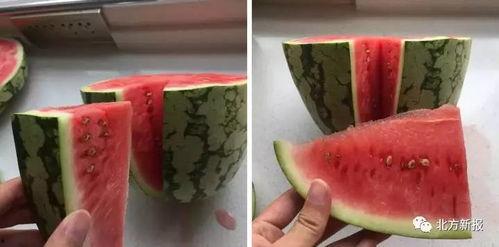 吃假瓜的视频,视频带你走进神秘世界