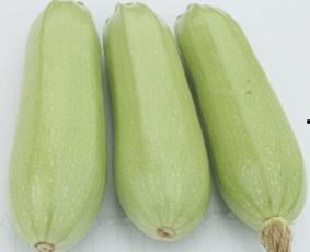 孕妇可以吃茭瓜吗,茭瓜——孕妇的绿色佳肴