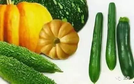 三参吃瓜,揭秘瓜界风云，品味人生百态