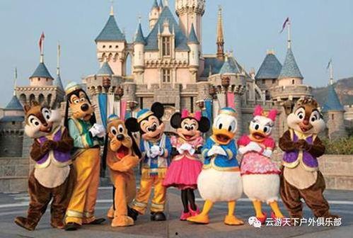 上海迪士尼 吃瓜视频,幕后趣事与游客心声