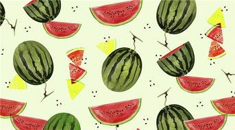 陈伯吹瓜瓜吃瓜,一场趣味盎然的亲子互动之旅