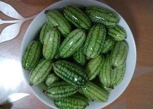 成都吃的瓜,那些让人“吃瓜”的独家美味故事