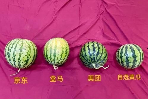 成都吃的瓜,那些让人“吃瓜”的独家美味故事