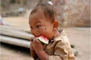 侄子吃瓜,侄子吃瓜的欢乐时光