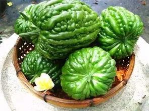 杜阮 吃凉瓜,夏日消暑，凉瓜美食之旅