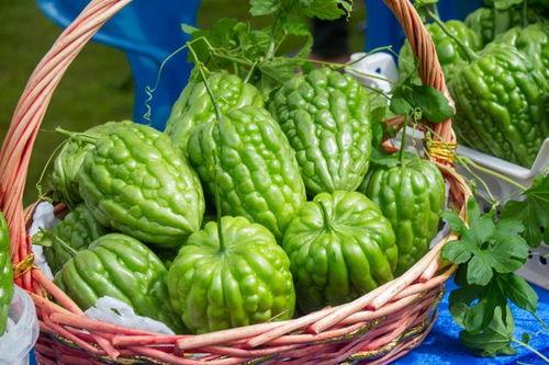 杜阮 吃凉瓜,夏日消暑，凉瓜美食之旅