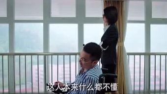 豆豆吃瓜小说,揭秘娱乐圈背后的秘密与真相