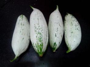 文安吃瓜事件消息,一场引发热议的网络风波