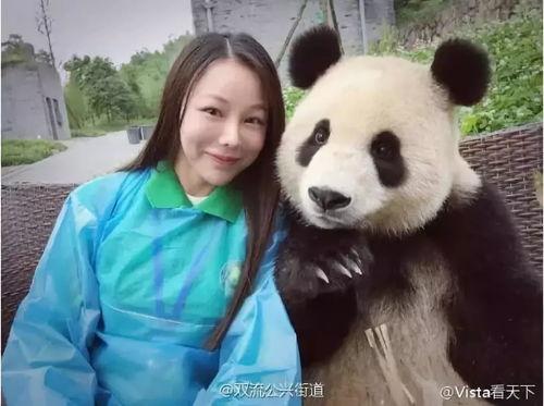 三妹熊猫吃瓜,三妹熊猫的夏日吃瓜盛宴